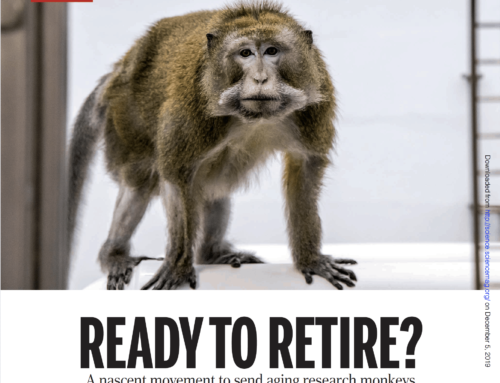 Prêts pour la retraite ?