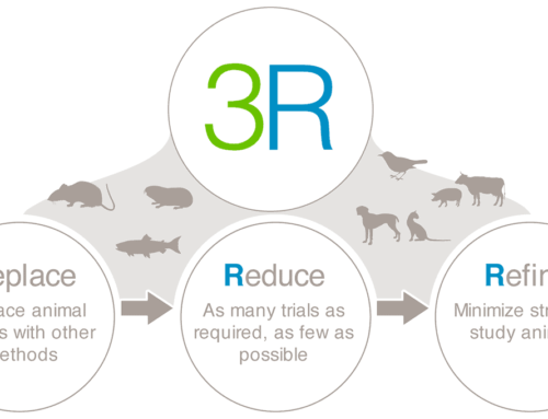 Les 3R ou l’éthique dans la recherche scientifique