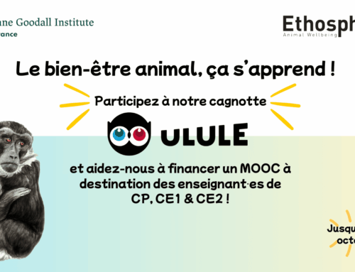 La première formation en ligne pour faciliter l’enseignement de l’éthique animale